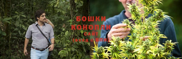 гидра Абдулино